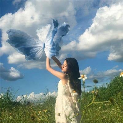 飞起来吧蝴蝶